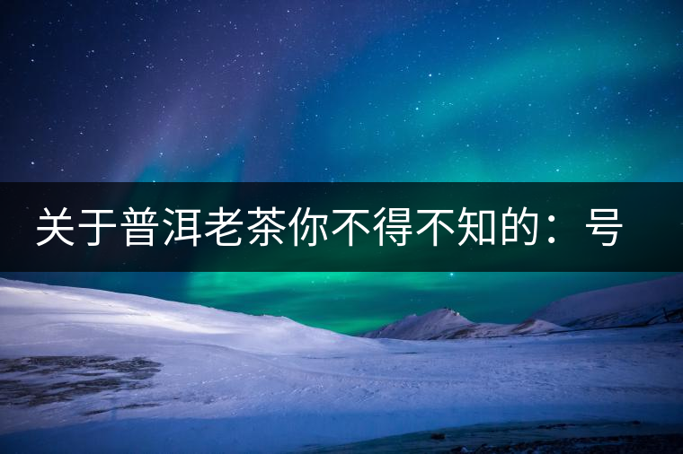 關(guān)于普洱老茶你不得不知的：號(hào)級(jí)茶、印級(jí)茶、七子餅茶