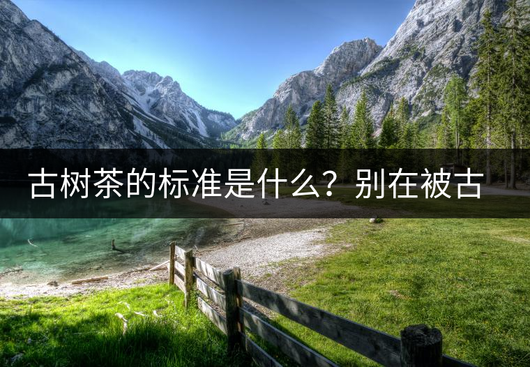古樹茶的標(biāo)準(zhǔn)是什么？別在被古樹茶欺騙了