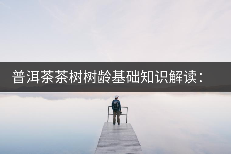 普洱茶茶樹樹齡基礎(chǔ)知識解讀：多大樹齡的茶才算古樹茶？