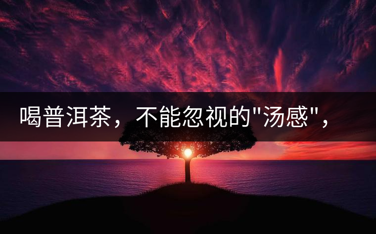 喝普洱茶，不能忽視的