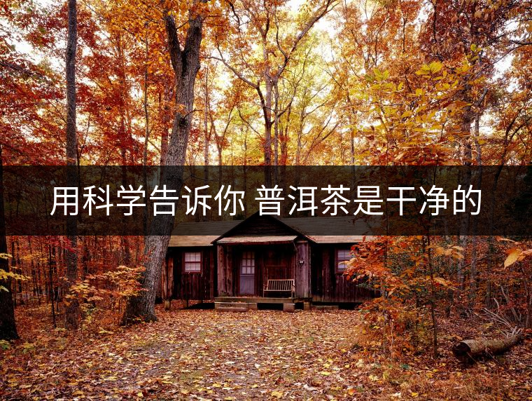 用科學告訴你 普洱茶是干凈的