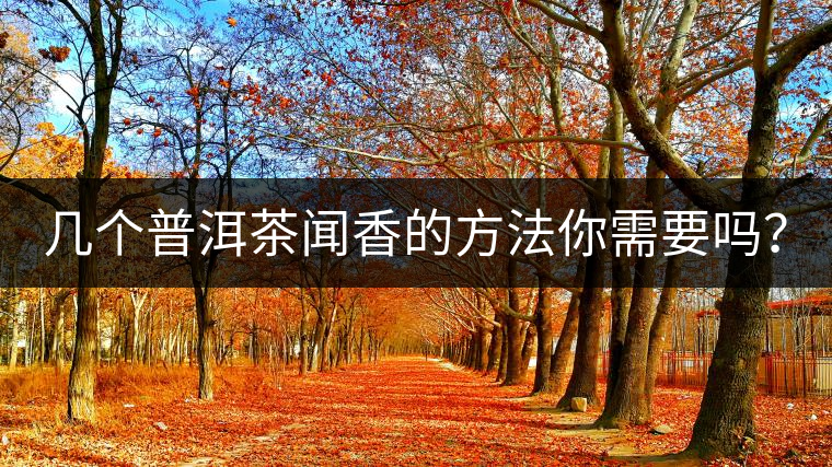 幾個(gè)普洱茶聞香的方法你需要嗎？