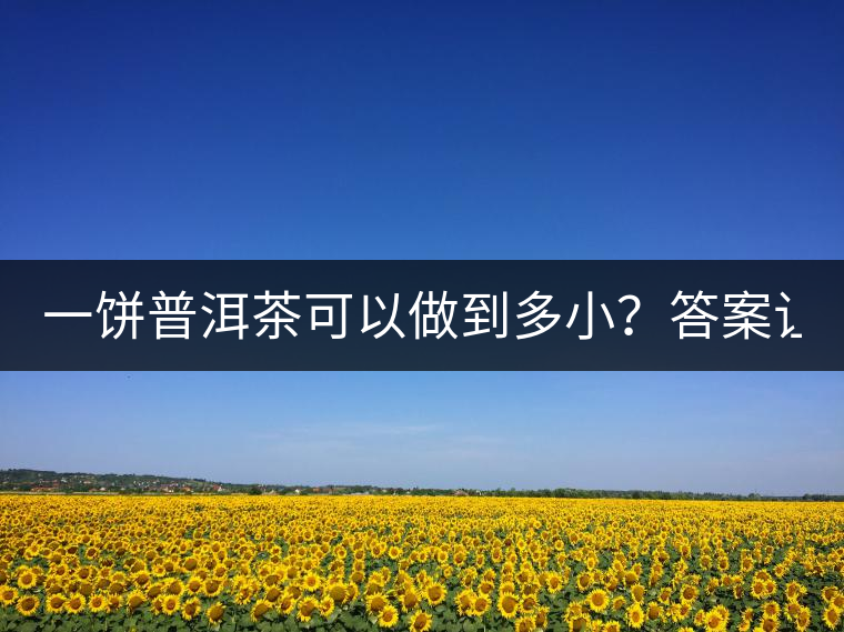 一餅普洱茶可以做到多小？答案讓人意想不到...