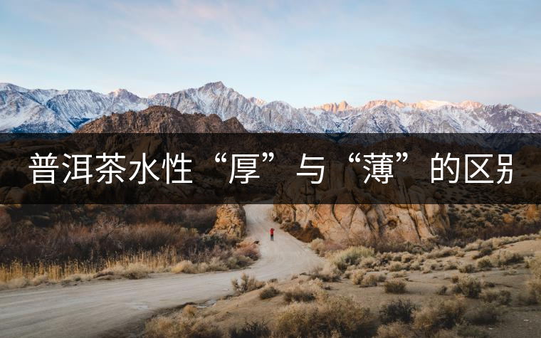 普洱茶水性“厚”與“薄”的區(qū)別！