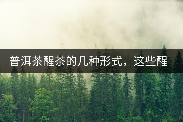 普洱茶醒茶的幾種形式，這些醒茶方法你都會(huì)了嗎？
