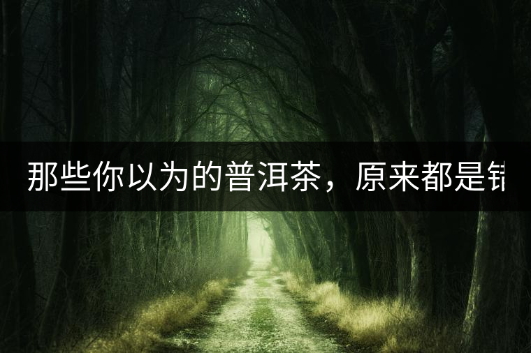 那些你以為的普洱茶，原來都是錯的！