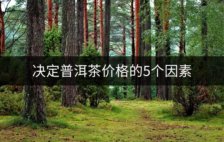 決定普洱茶價(jià)格的5個(gè)因素