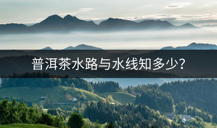 普洱茶水路與水線知多少? 普洱茶水路與水線知多少?