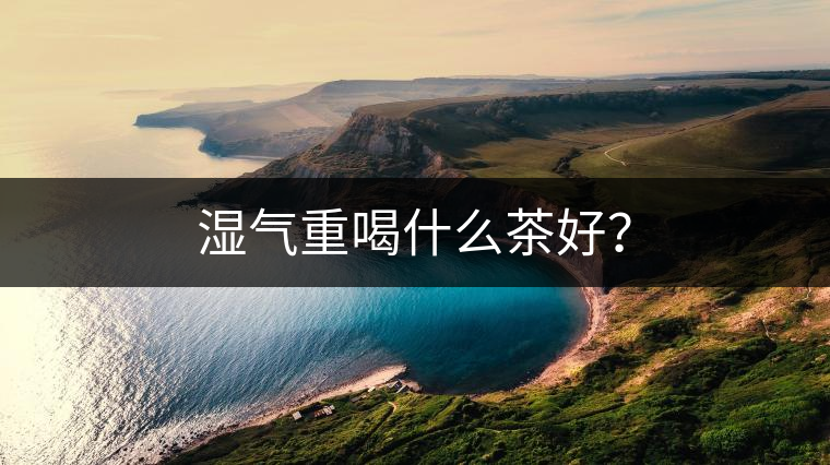 濕氣重喝什么茶好？