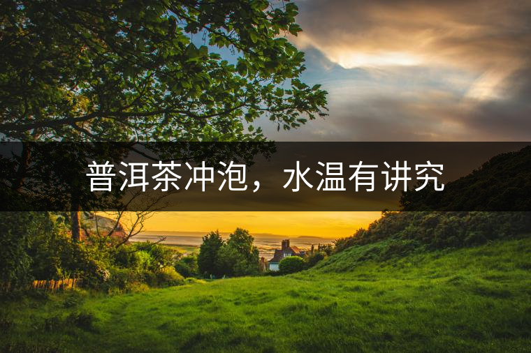 普洱茶沖泡，水溫有講究