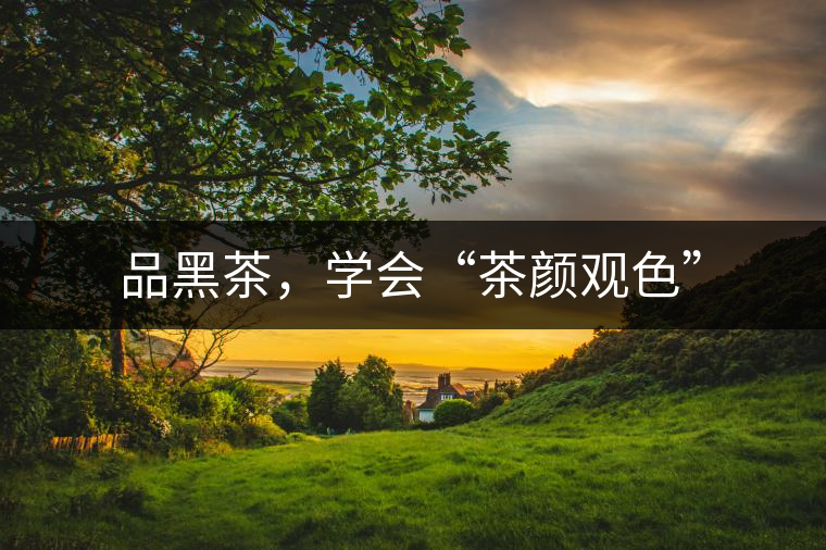 品黑茶，學(xué)會“茶顏觀色”