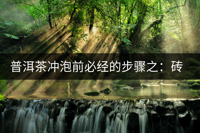 普洱茶沖泡前必經(jīng)的步驟之：磚茶如何撬？