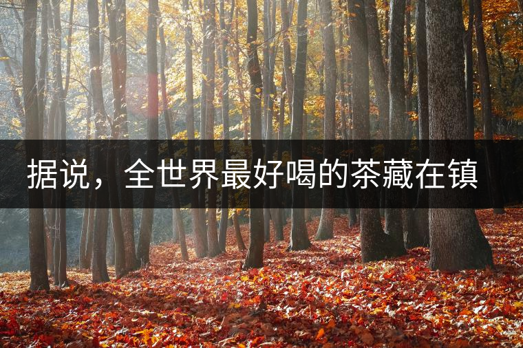 據(jù)說，全世界最好喝的茶藏在鎮(zhèn)沅