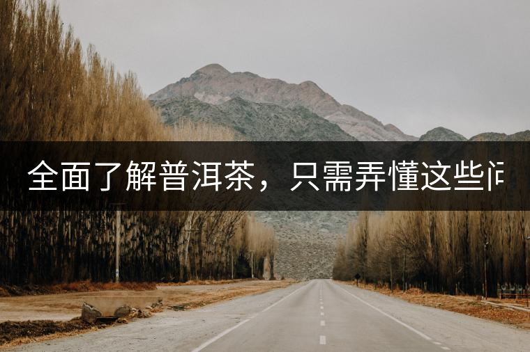 全面了解普洱茶，只需弄懂這些問題！