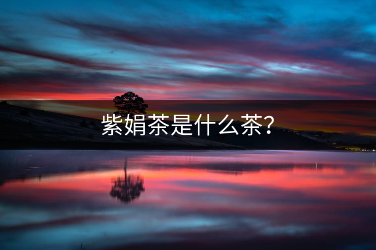 紫娟茶是什么茶？