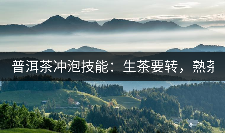 普洱茶沖泡技能：生茶要轉(zhuǎn)，熟茶要柔！