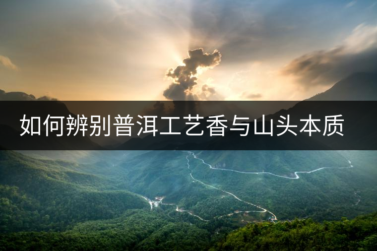 如何辨別普洱工藝香與山頭本質(zhì)香