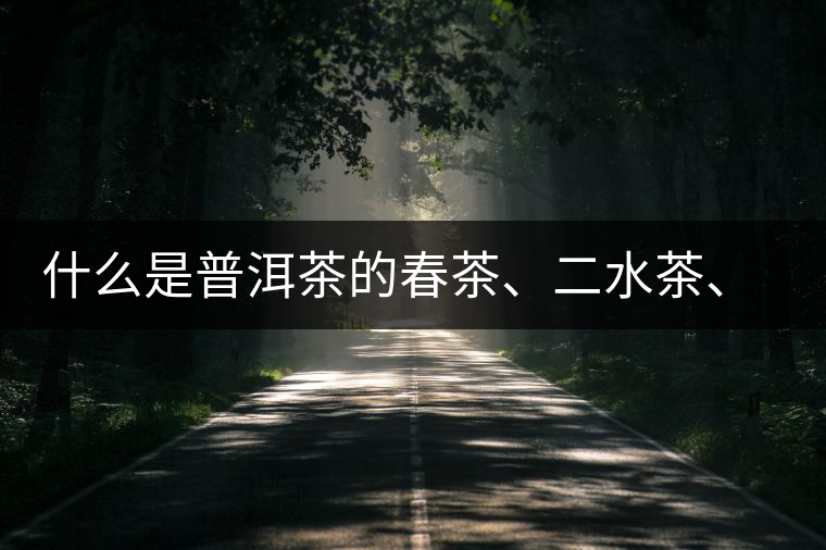 什么是普洱茶的春茶、二水茶、三水茶、四水茶