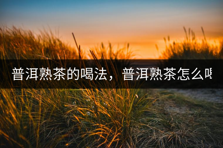 普洱熟茶的喝法，普洱熟茶怎么喝？