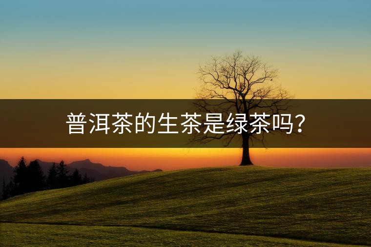普洱茶的生茶是綠茶嗎？