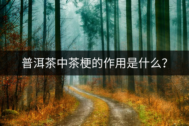 普洱茶中茶梗的作用是什么？