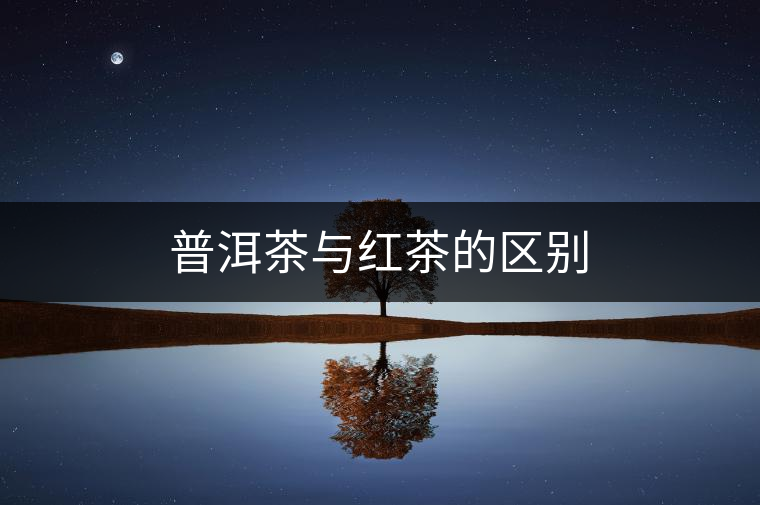 普洱茶與紅茶的區(qū)別