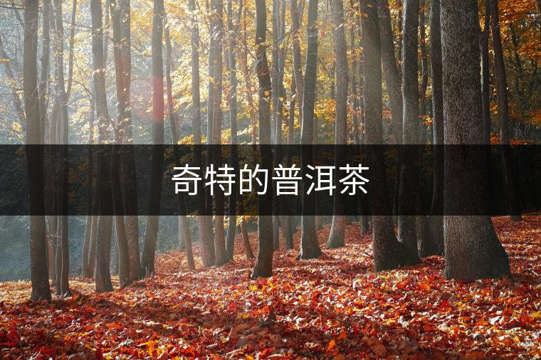 奇特的普洱茶