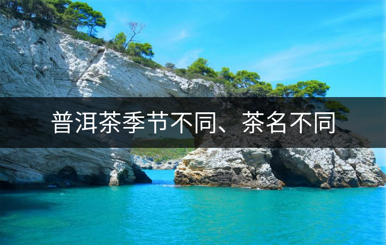 普洱茶季節(jié)不同、茶名不同
