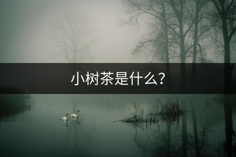 小樹茶是什么？
