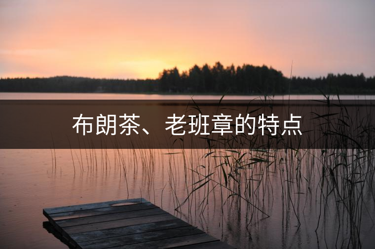 布朗茶、老班章的特點(diǎn)