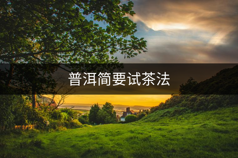 普洱簡要試茶法 普洱簡要試茶法