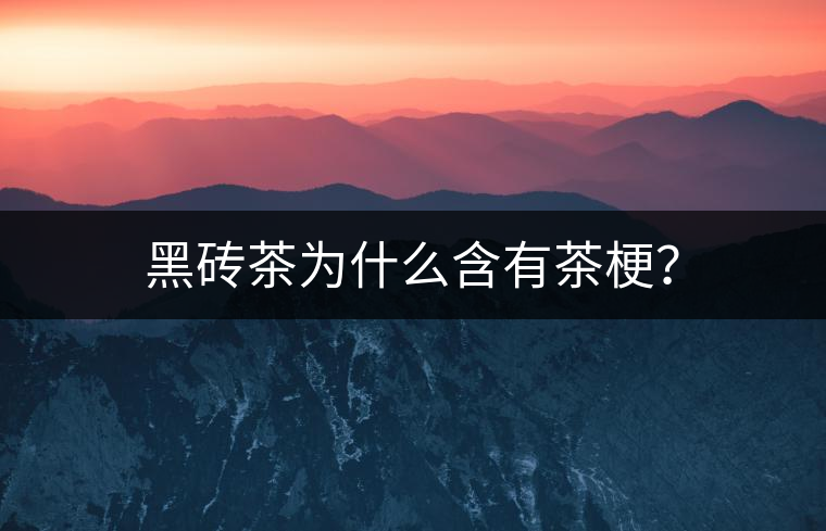 黑磚茶為什么含有茶梗？