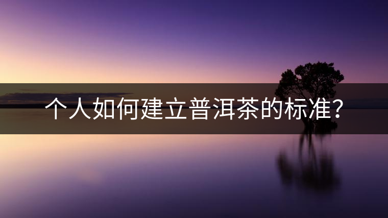 個人如何建立普洱茶的標(biāo)準(zhǔn)？