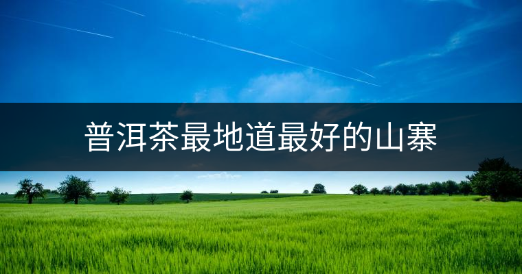 普洱茶最地道最好的山寨 普洱茶最地道最好的山寨