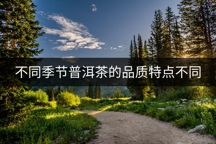 不同季節(jié)普洱茶的品質(zhì)特點(diǎn)不同 不同季節(jié)普洱茶的品質(zhì)特點(diǎn)不同