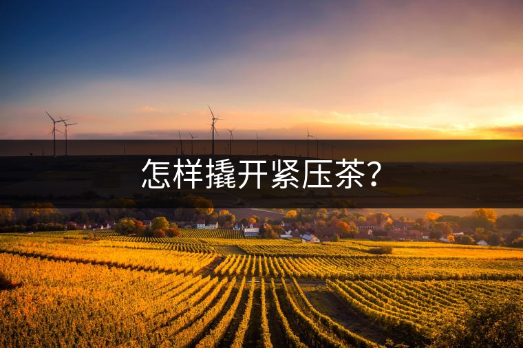 怎樣撬開緊壓茶？