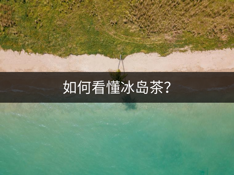 如何看懂冰島茶？