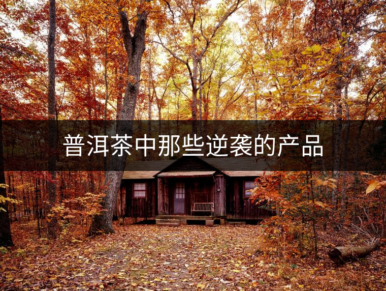 普洱茶中那些逆襲的產品