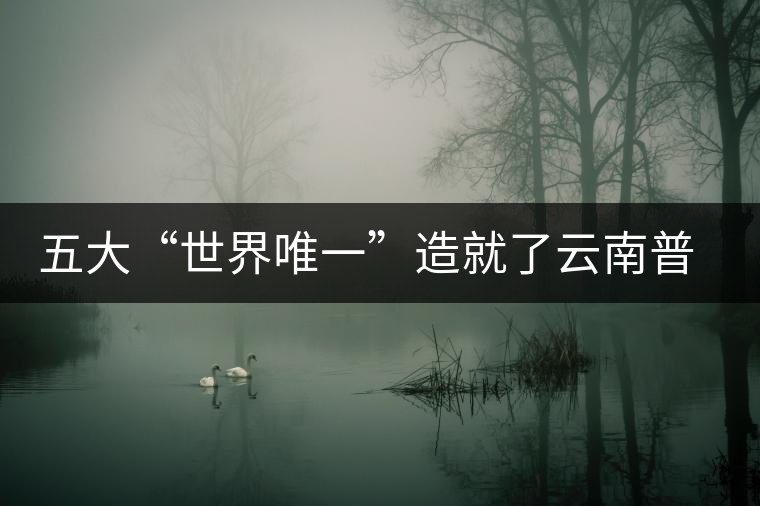 五大“世界唯一”造就了云南普洱茶的獨一無二