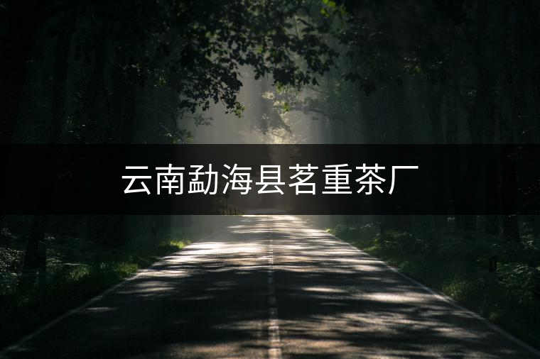 云南勐?？h茗重茶廠