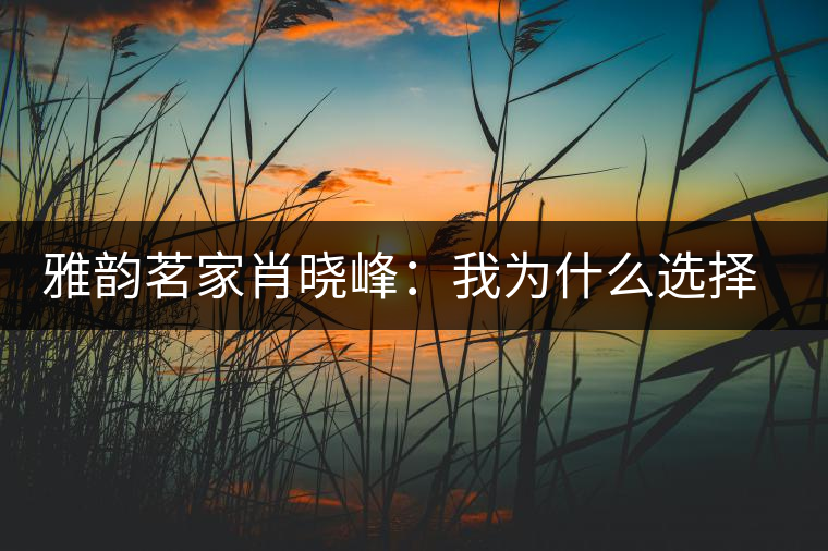 雅韻茗家肖曉峰：我為什么選擇古樹(shù)茶