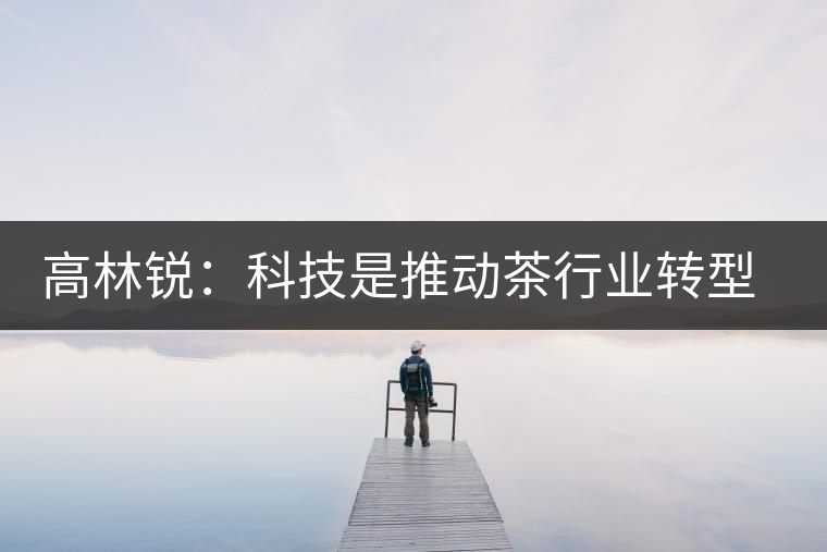 高林銳：科技是推動茶行業(yè)轉(zhuǎn)型的最大動力