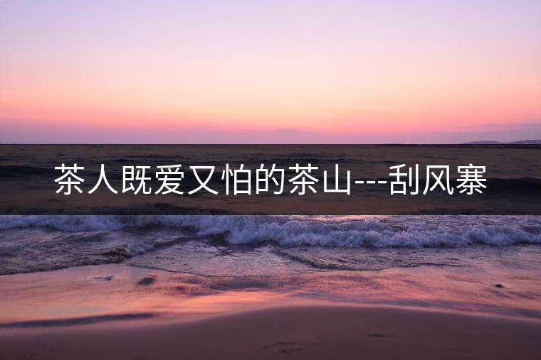 茶人既愛(ài)又怕的茶山---刮風(fēng)寨 茶人既愛(ài)又怕的茶山---刮風(fēng)寨