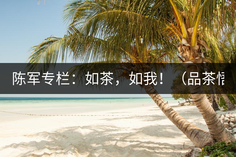 陳軍專欄：如茶，如我！（品茶悟道）