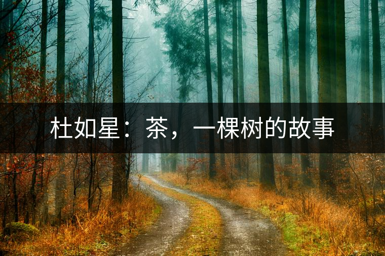 杜如星：茶，一棵樹的故事