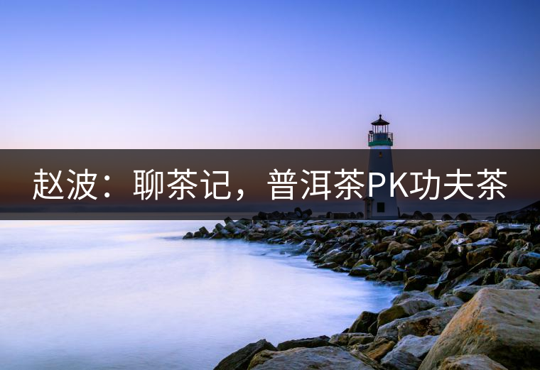 趙波：聊茶記，普洱茶PK功夫茶