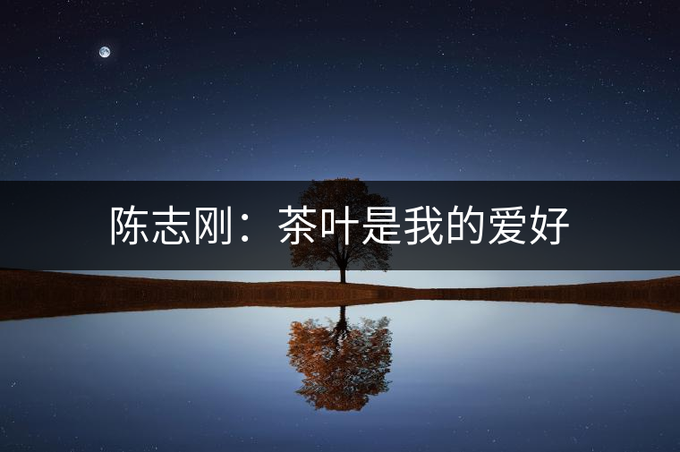 陳志剛：茶葉是我的愛好