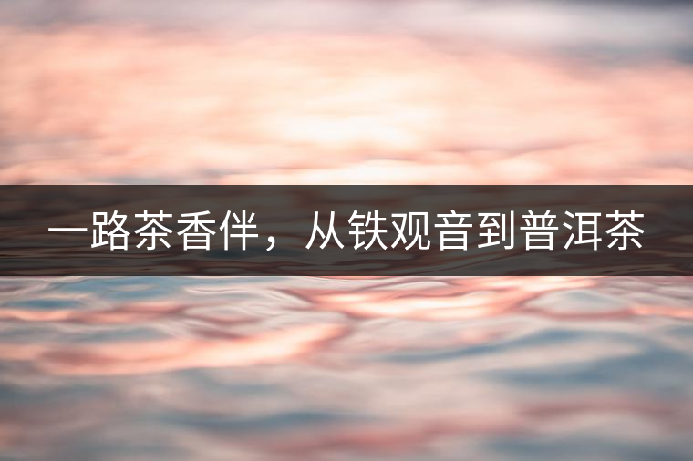 一路茶香伴，從鐵觀音到普洱茶