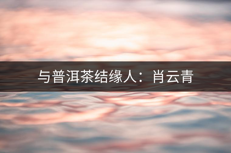 與普洱茶結(jié)緣人:肖云青 與普洱茶結(jié)緣人:肖云青