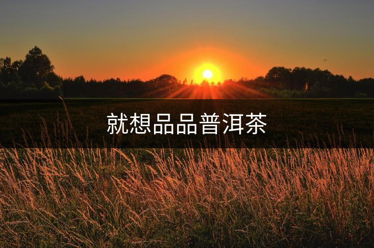 就想品品普洱茶